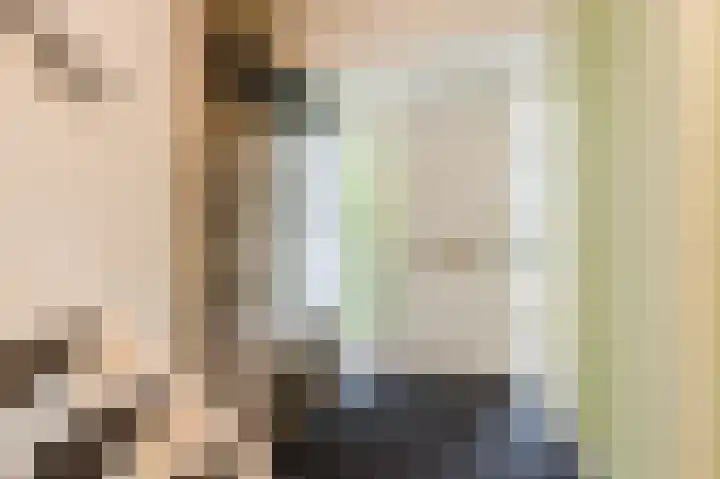 Frans Halsplantsoen 7 Voorschoten thumbnail 6