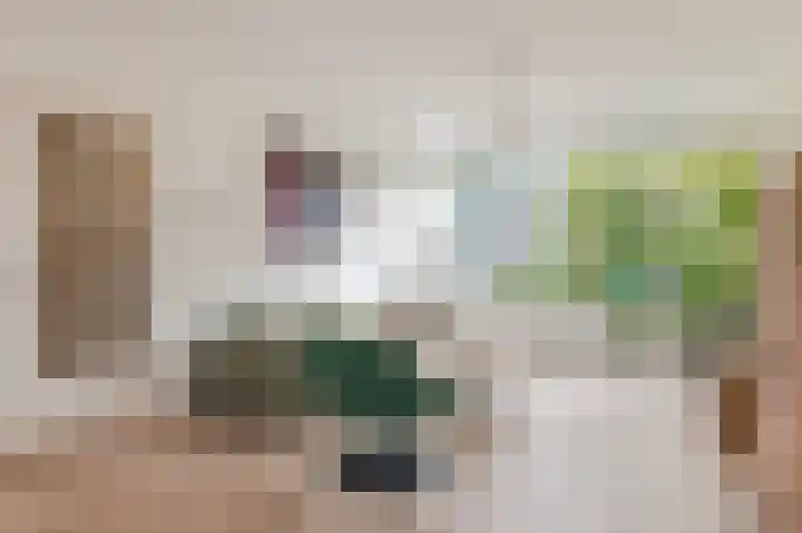 Frans Halsplantsoen 7 Voorschoten thumbnail 8