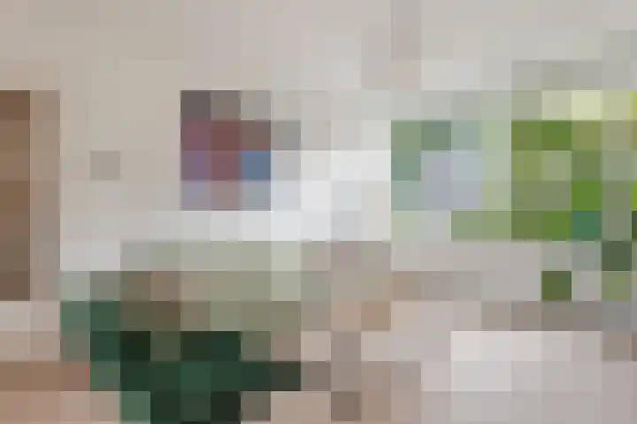 Frans Halsplantsoen 7 Voorschoten thumbnail 9