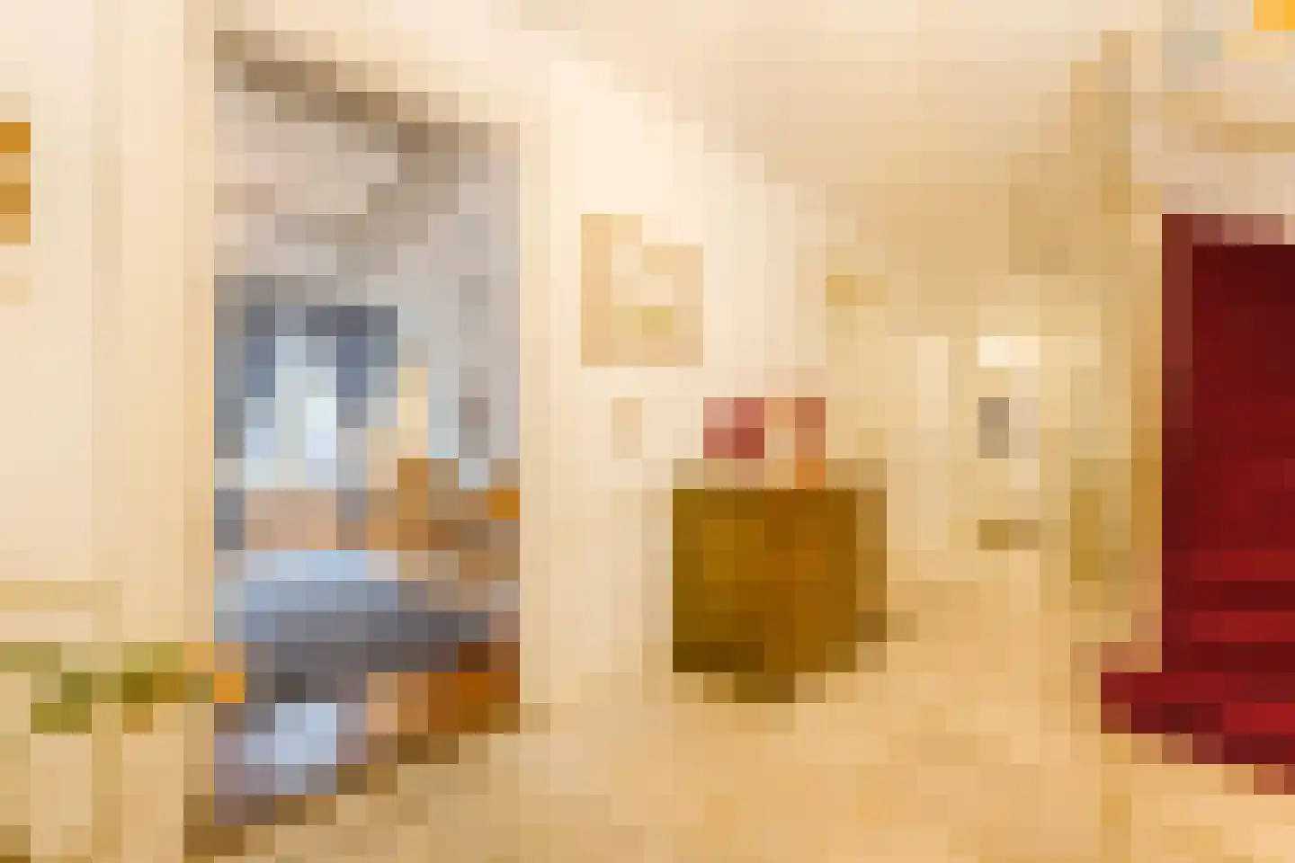 Frans Halsplein 10 Haarlem thumbnail 14