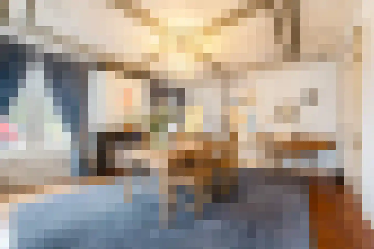 Frans Halsplein 10 Haarlem thumbnail 16