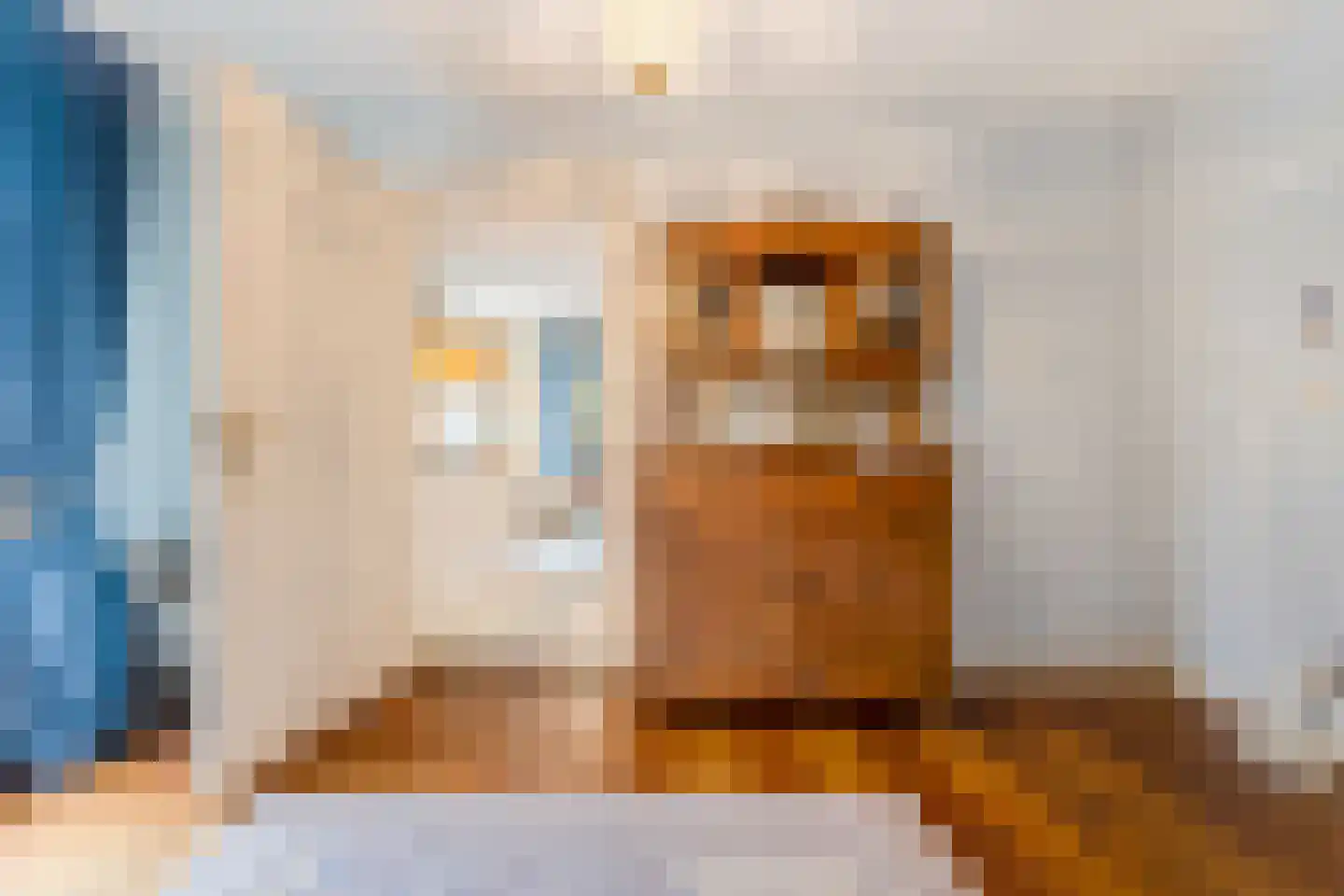 Frans Halsplein 10 Haarlem thumbnail 18