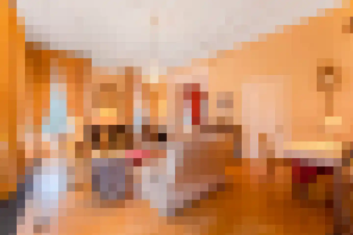 Frans Halsplein 10 Haarlem thumbnail 30