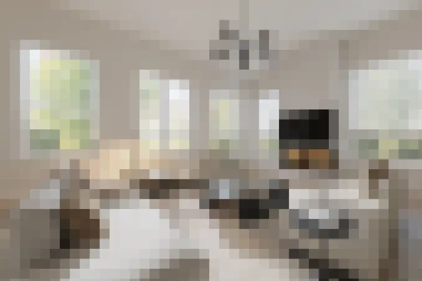 Frans Halsplein 10 Haarlem thumbnail 31