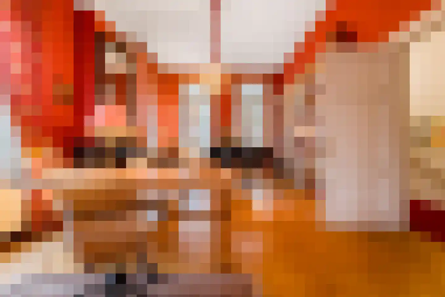 Frans Halsplein 10 Haarlem thumbnail 34