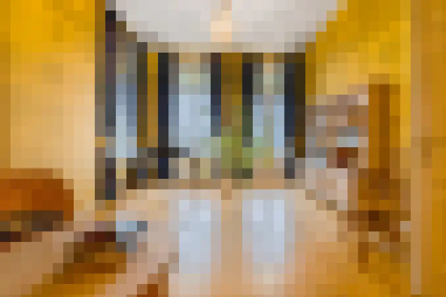 Frans Halsplein 10 Haarlem thumbnail 47