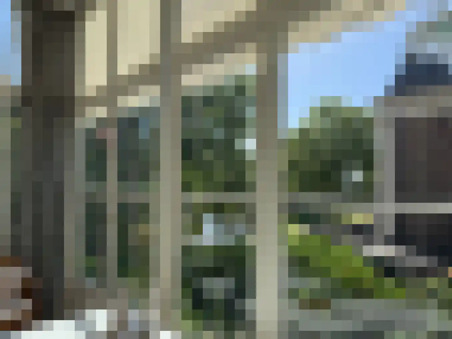 Frans Halsplein 10 Haarlem thumbnail 52