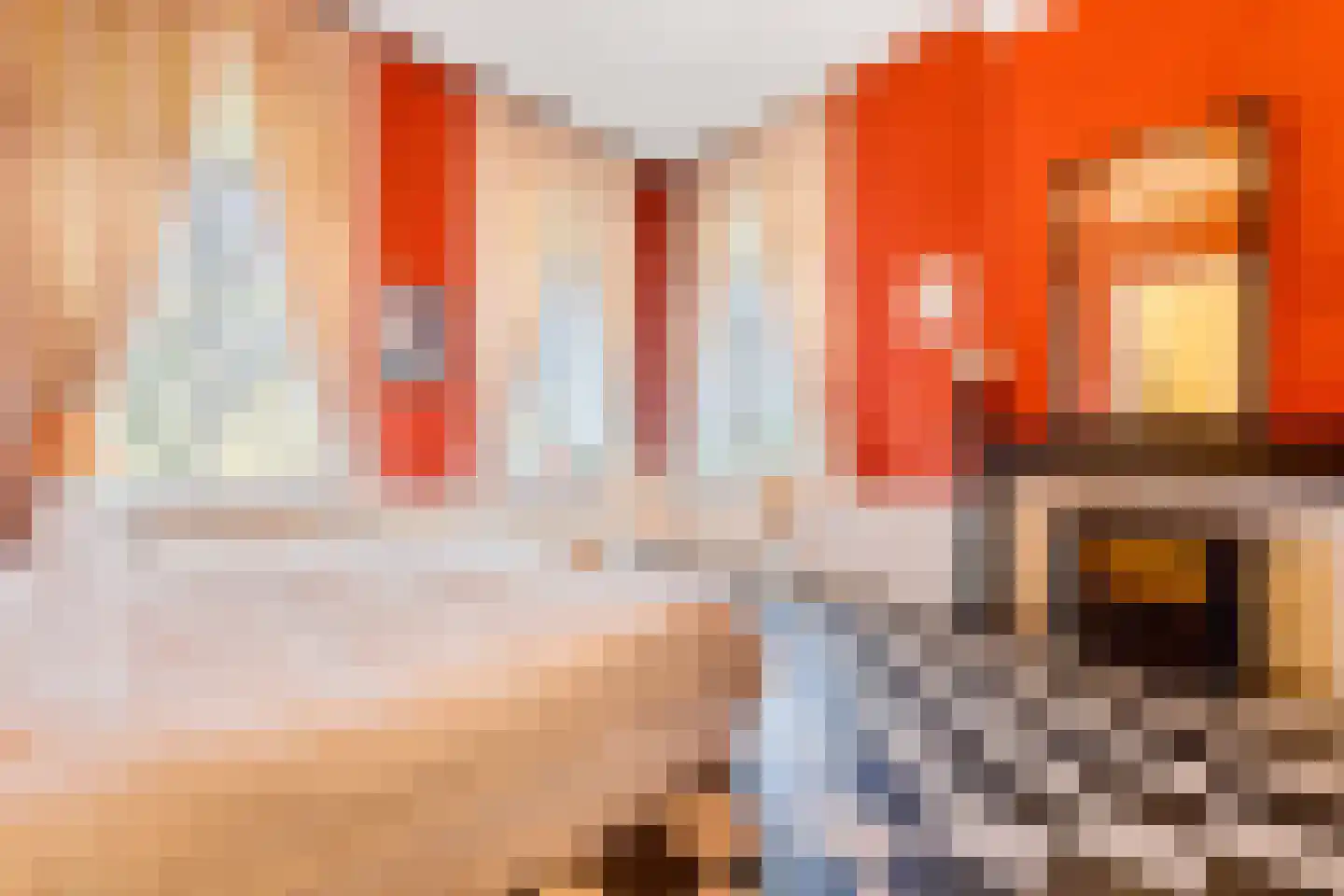 Frans Halsplein 10 Haarlem thumbnail 54