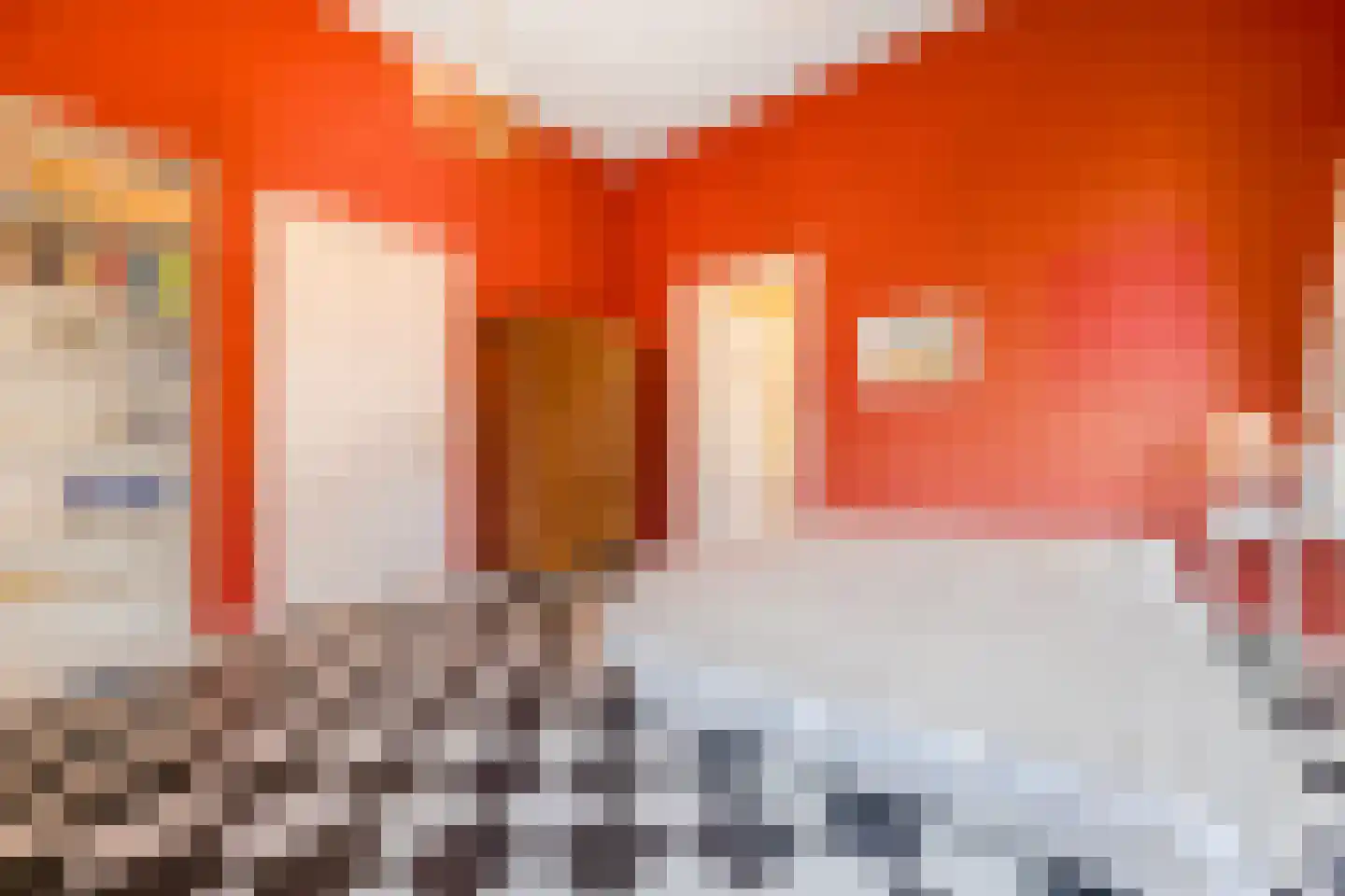 Frans Halsplein 10 Haarlem thumbnail 56