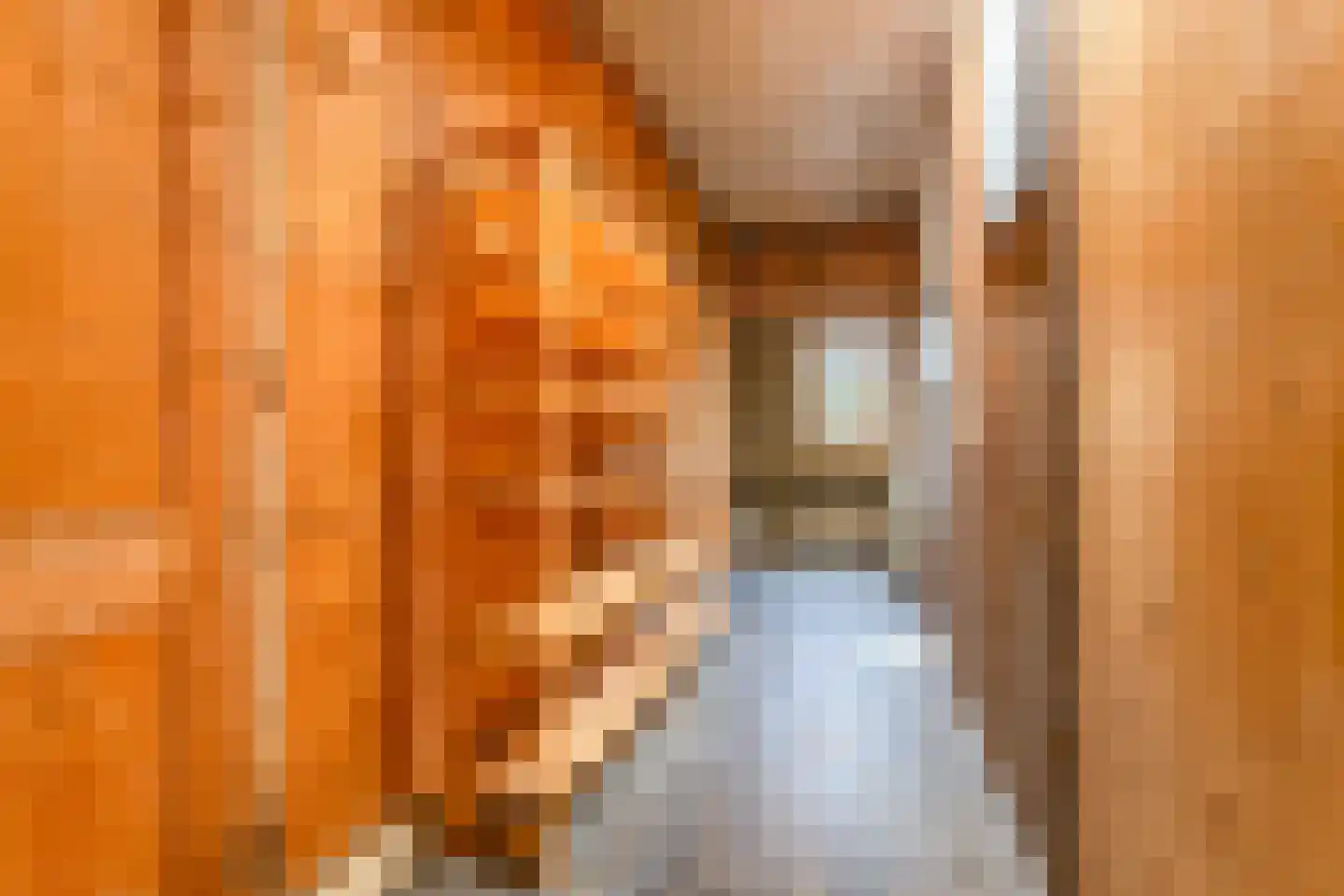 Frans Halsplein 10 Haarlem thumbnail 62