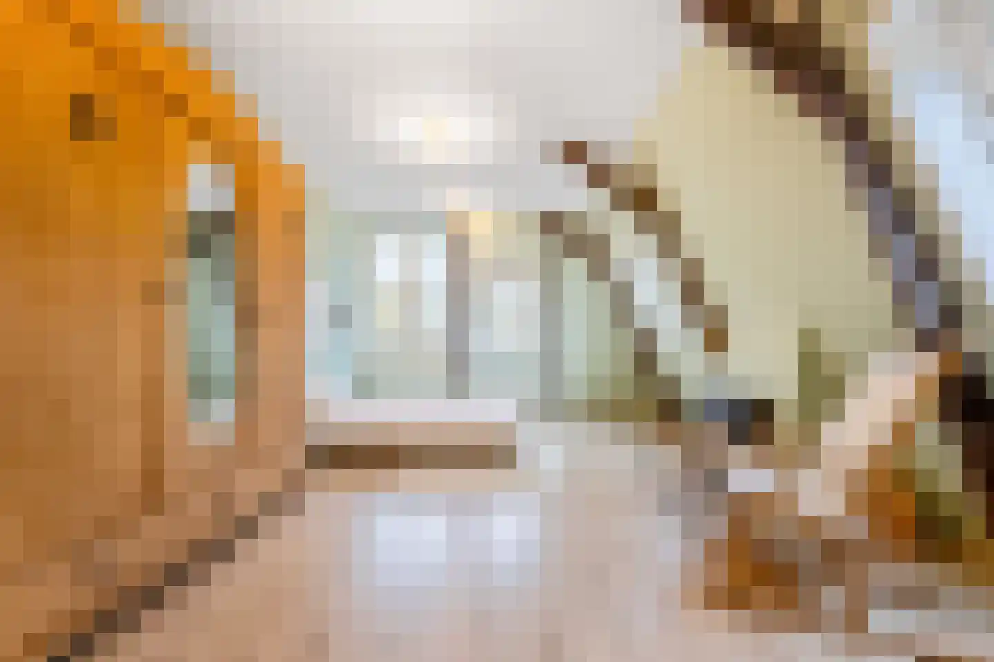 Frans Halsplein 10 Haarlem thumbnail 67