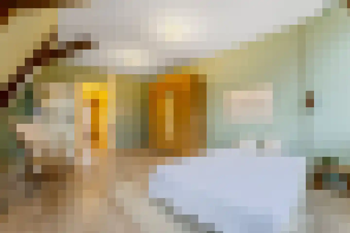 Frans Halsplein 10 Haarlem thumbnail 68