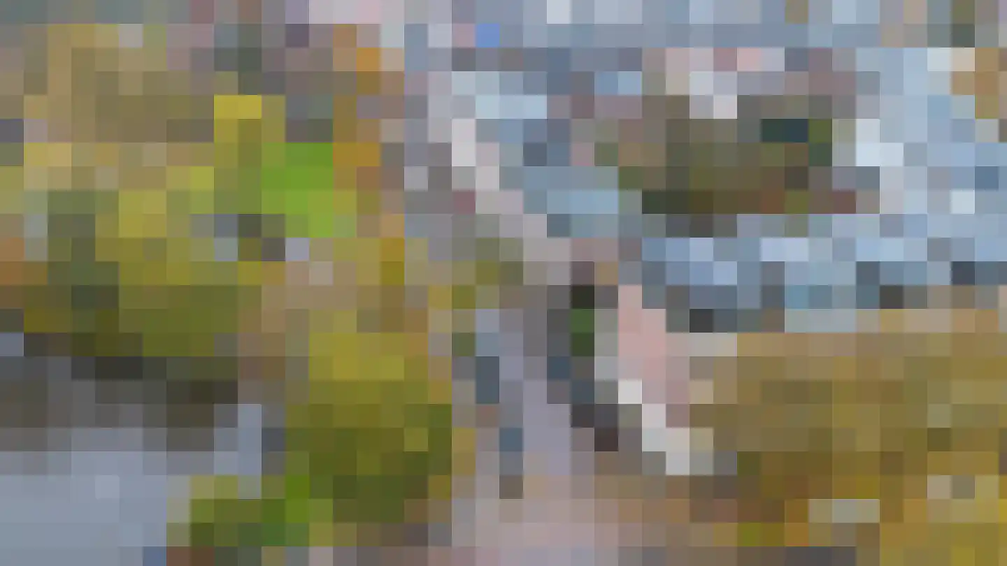 Frans Halsplein 10 Haarlem thumbnail 7