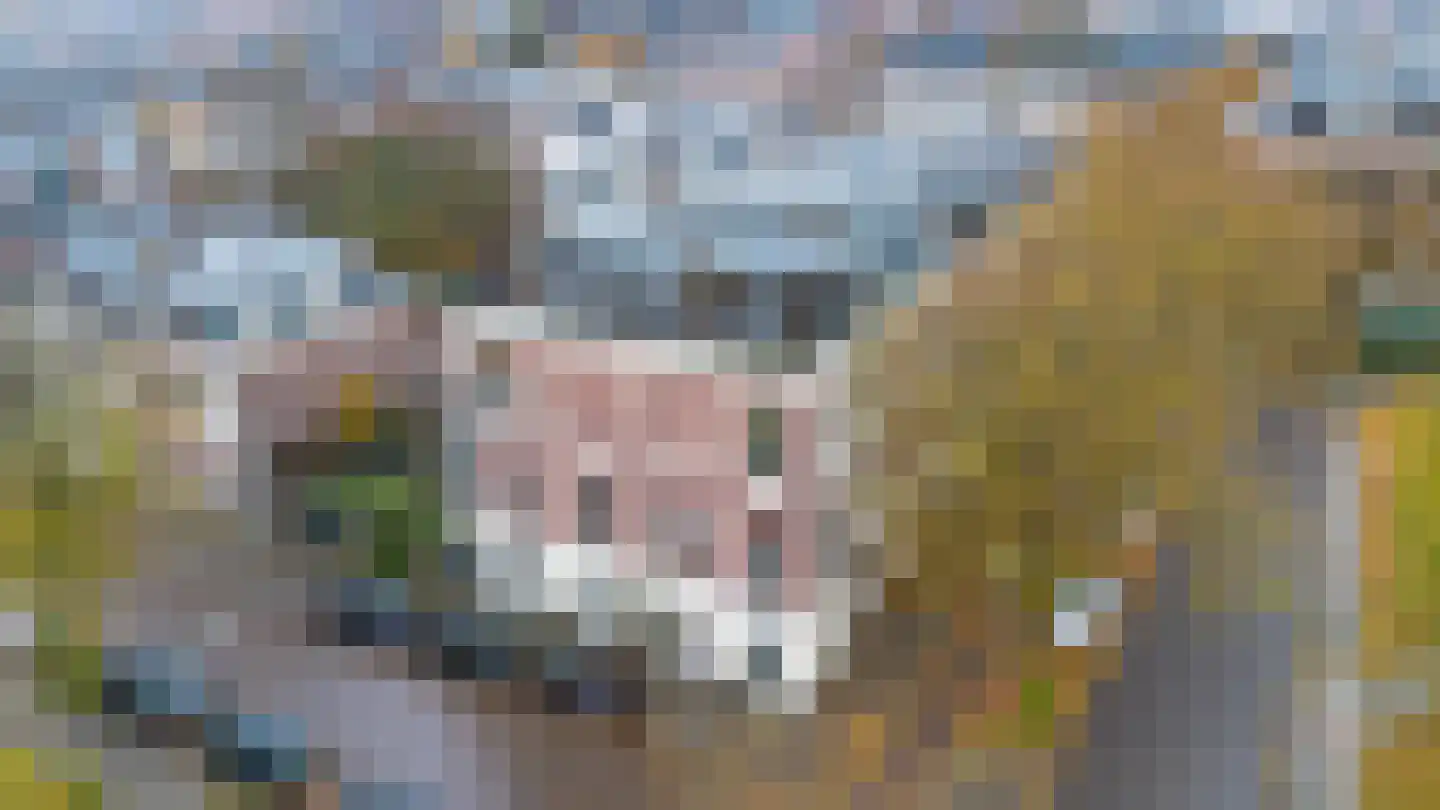 Frans Halsplein 10 Haarlem thumbnail 8