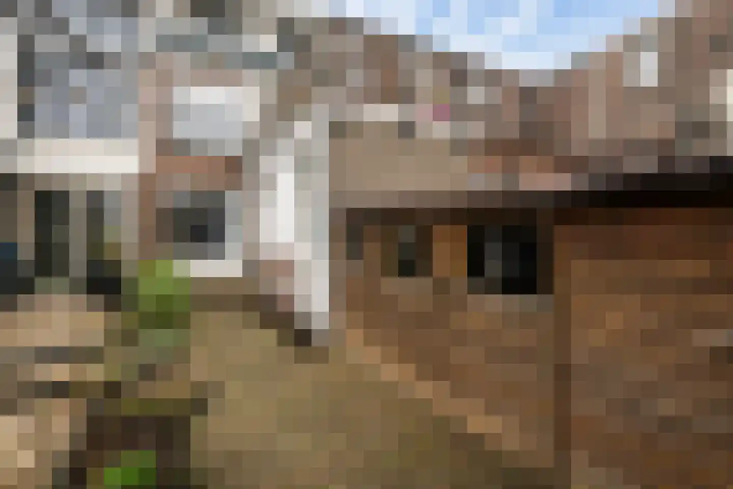 Frans Halsplein 15 Schiedam thumbnail 10