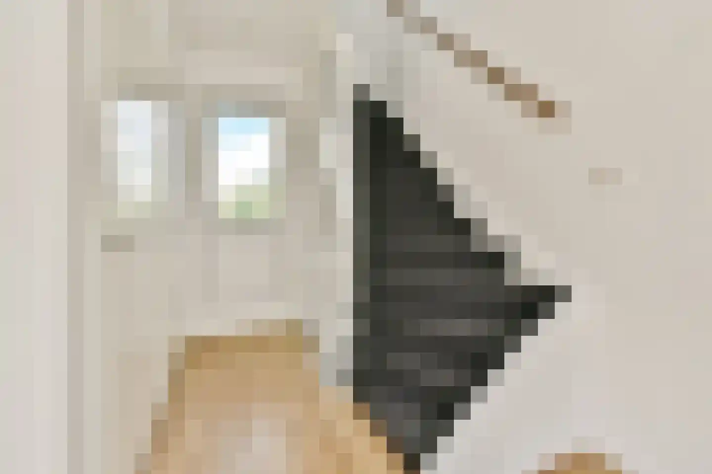 Frans Halsplein 30 Schiedam thumbnail 8