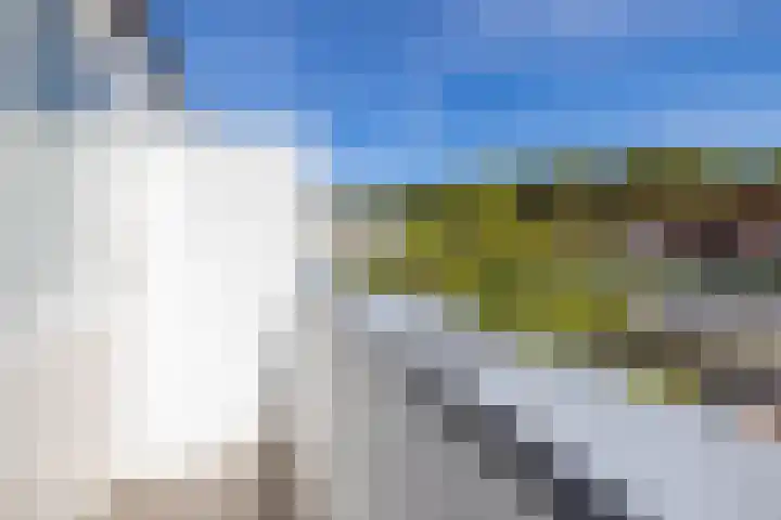 Frans Halssingel 11 Rotterdam thumbnail 18