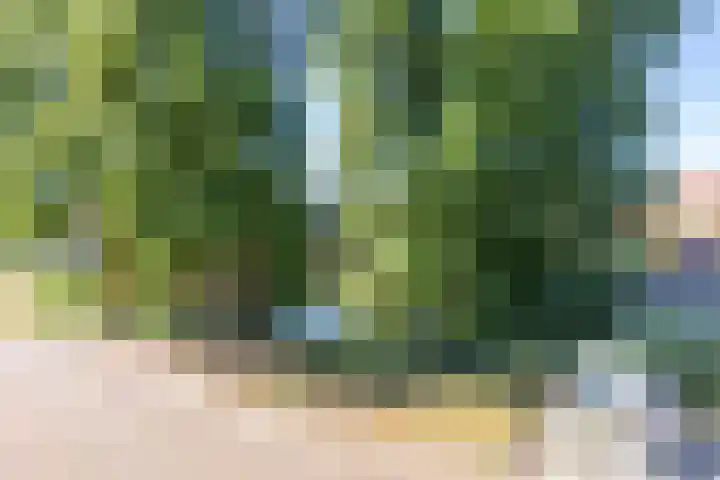Frans Halssingel 11 Rotterdam thumbnail 19