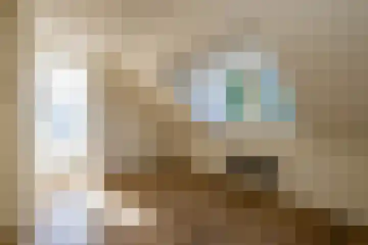 Frans Halssingel 11 Rotterdam thumbnail 4