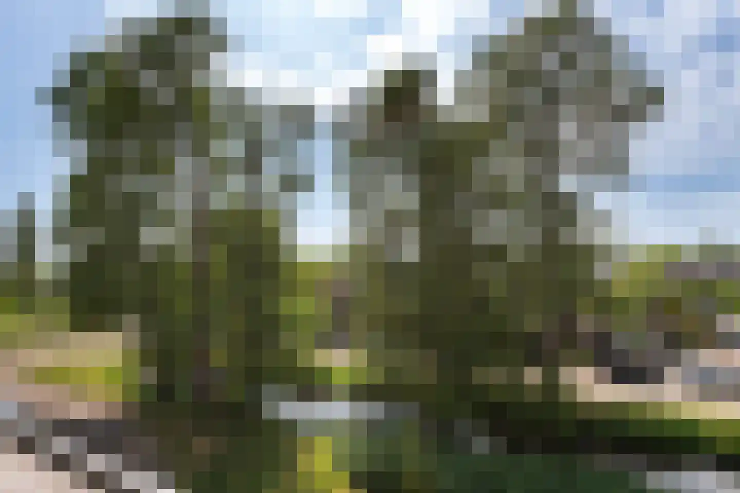 Frans Halssingel 7 A Rotterdam thumbnail 12