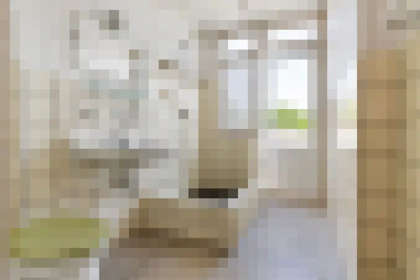 Frans Halssingel 7 A Rotterdam thumbnail 14