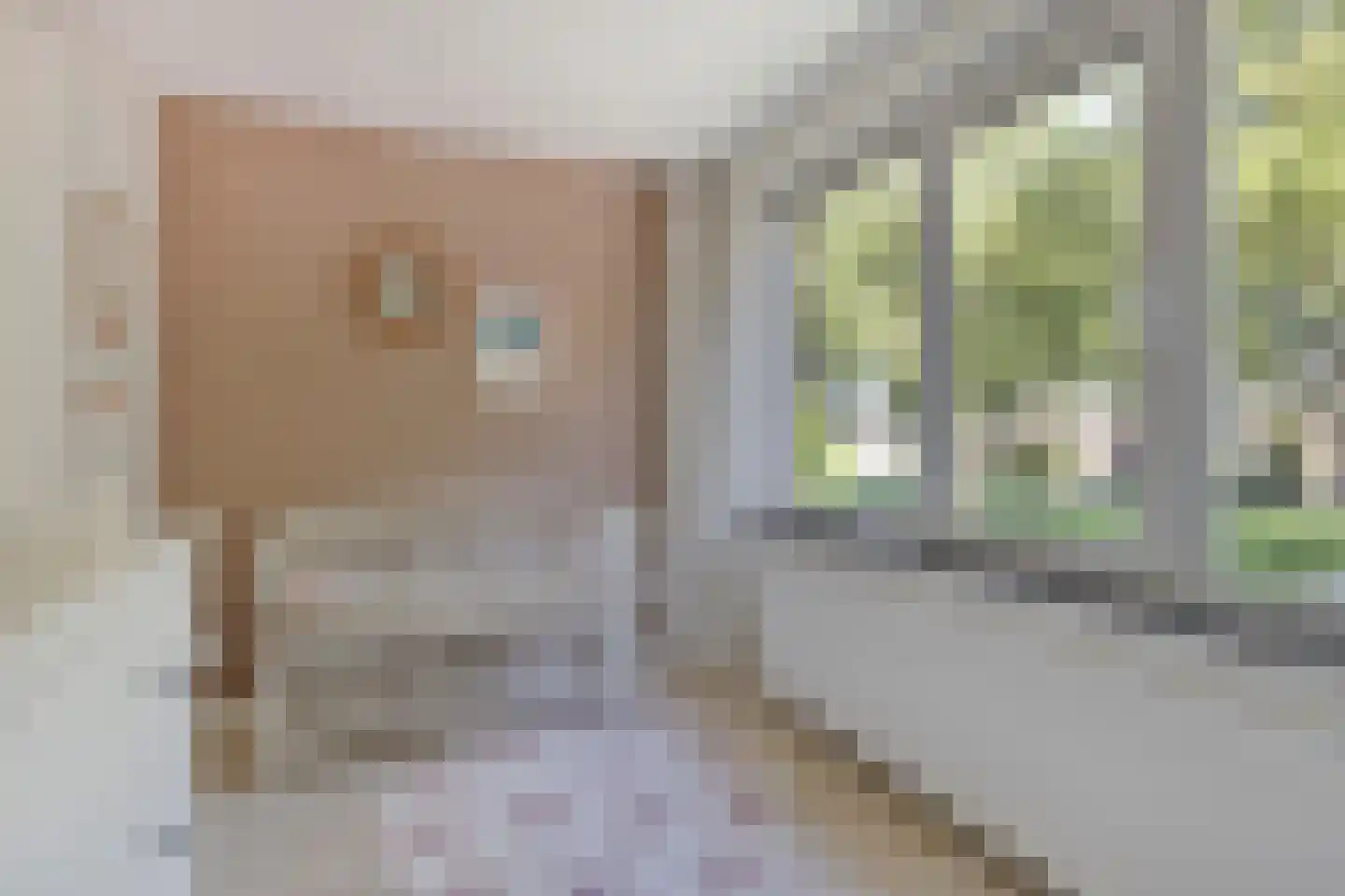 Frans Halsstraat 1 Boxmeer thumbnail 13