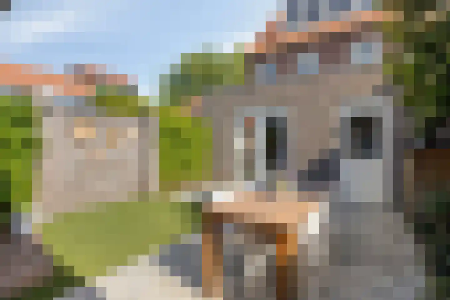 Frans Halsstraat 1 Boxmeer thumbnail 21