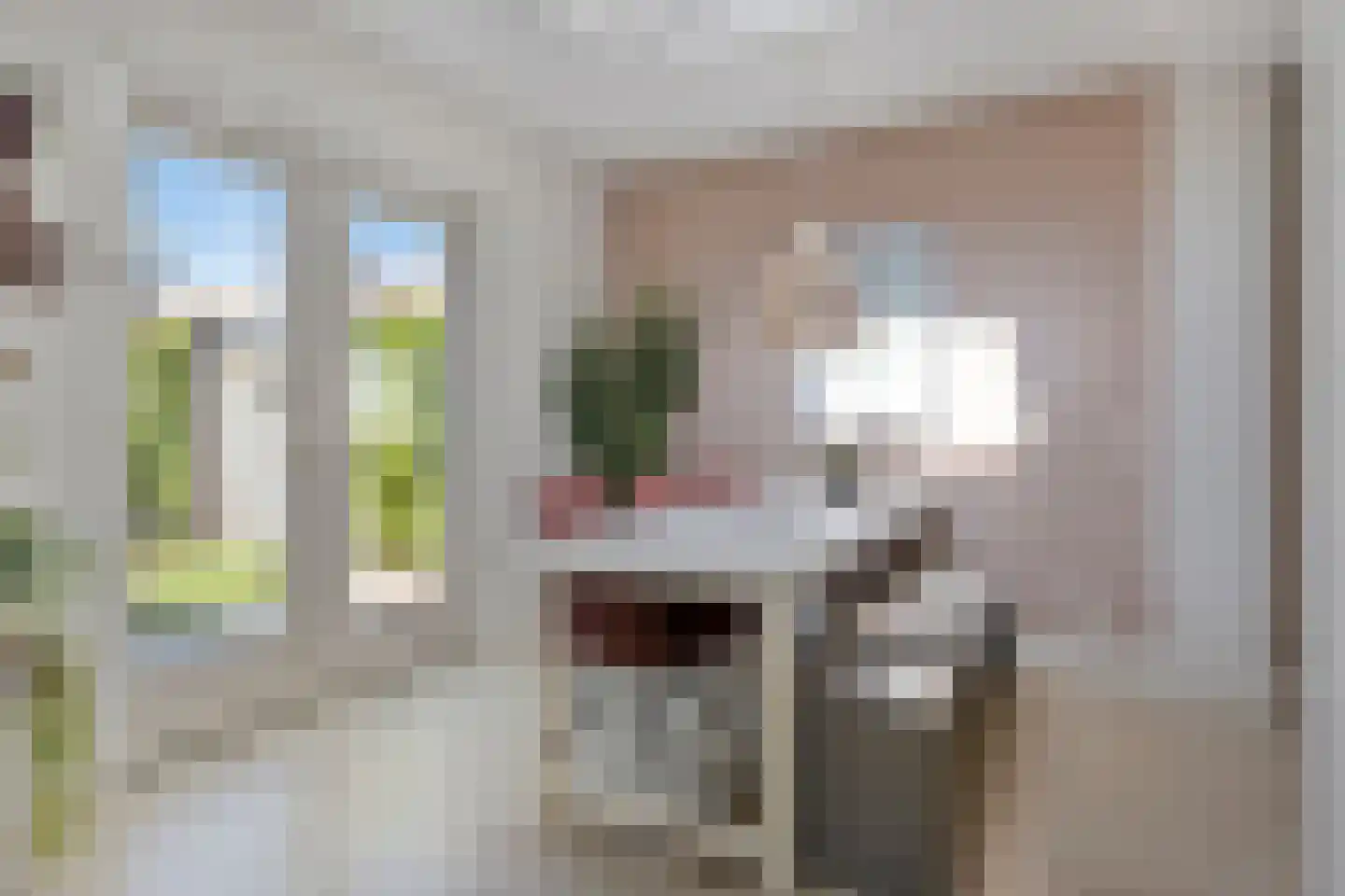 Frans Halsstraat 1 Boxmeer thumbnail 8