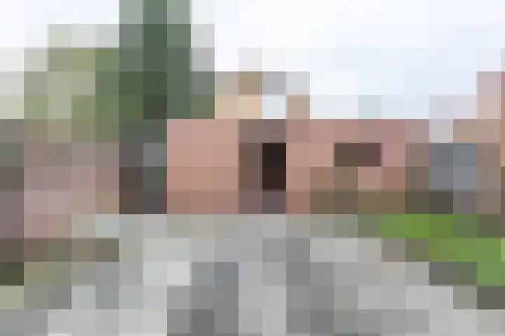 Frans Halsstraat 1 Brunssum thumbnail 20