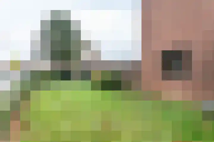 Frans Halsstraat 1 Brunssum thumbnail 22