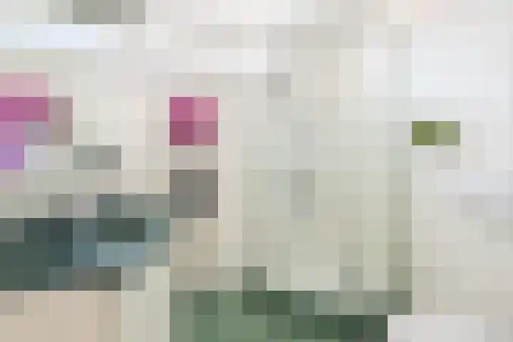 Frans Halsstraat 1 D Woerden thumbnail 30