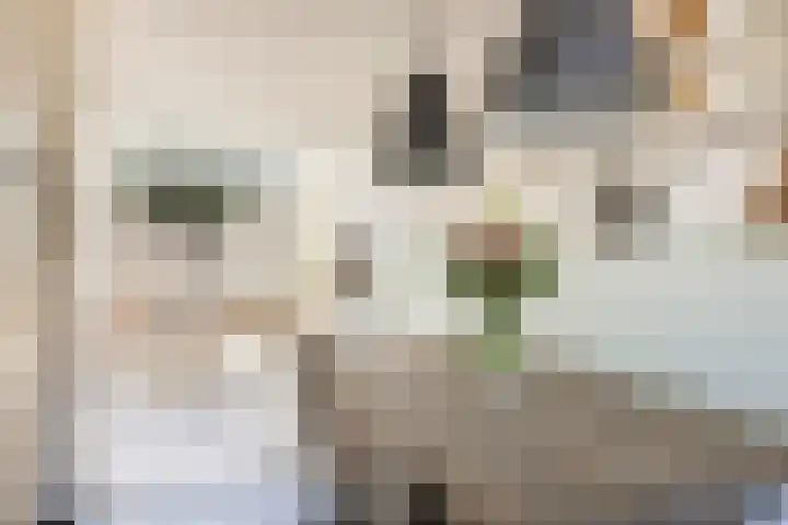 Frans Halsstraat 1 D Woerden thumbnail 7