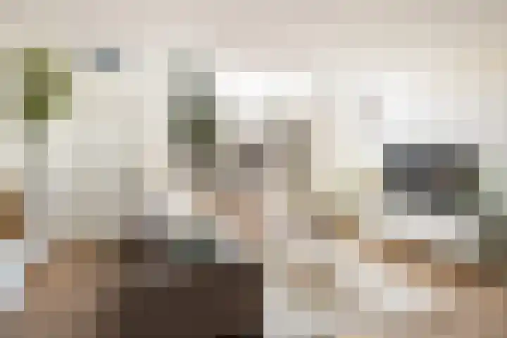 Frans Halsstraat 1 D Woerden thumbnail 9