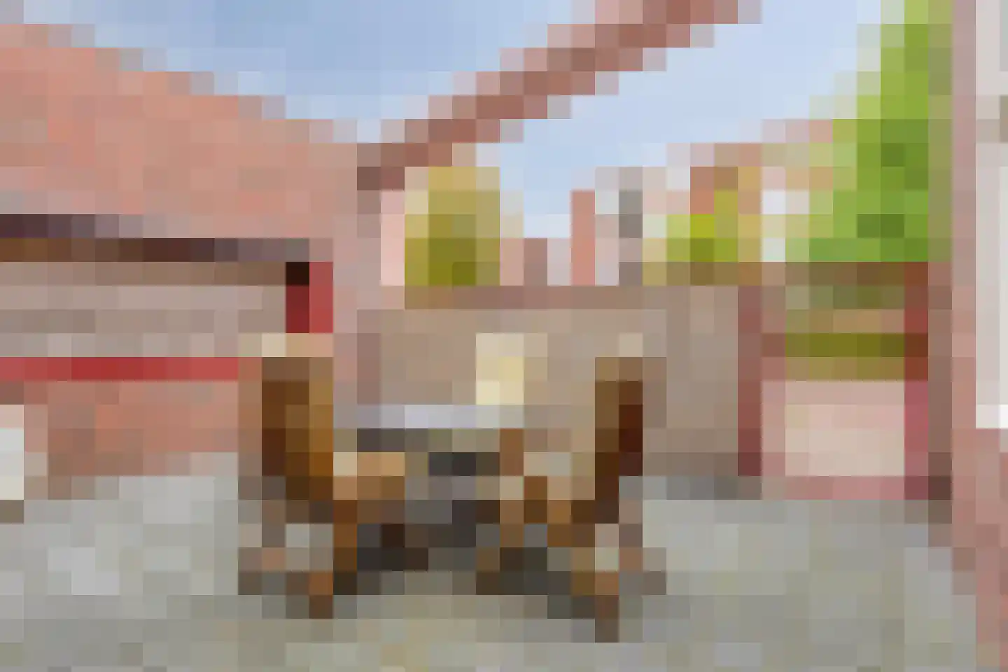 Frans Halsstraat 1 Eindhoven thumbnail 24