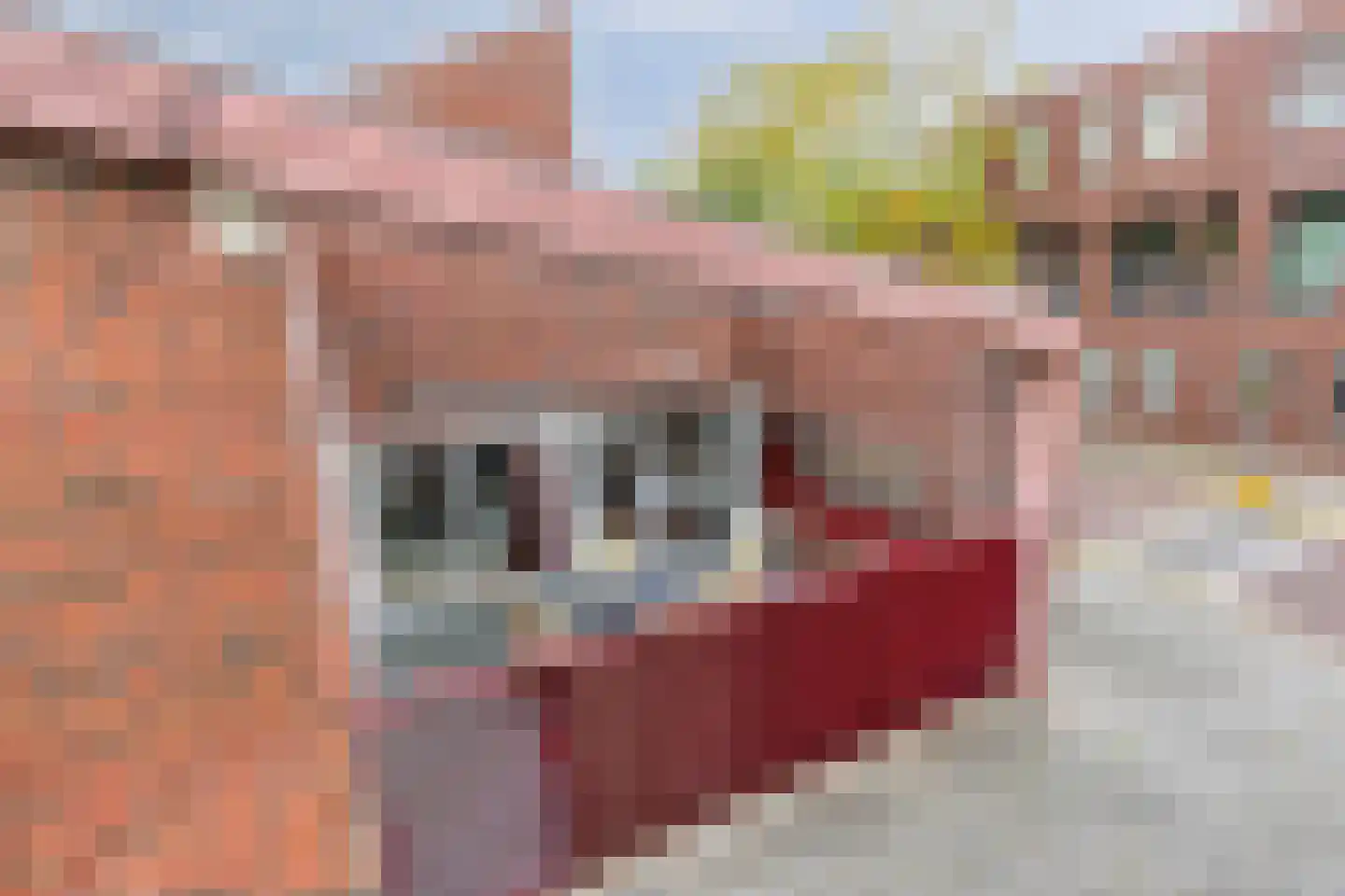 Frans Halsstraat 1 Eindhoven thumbnail 25