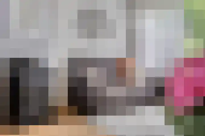 Frans Halsstraat 1 Goes thumbnail 12