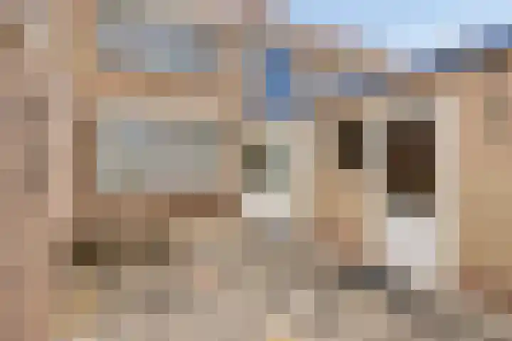 Frans Halsstraat 1 Goes thumbnail 23