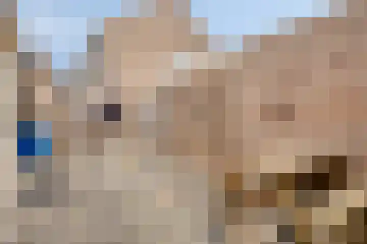 Frans Halsstraat 1 Goes thumbnail 24