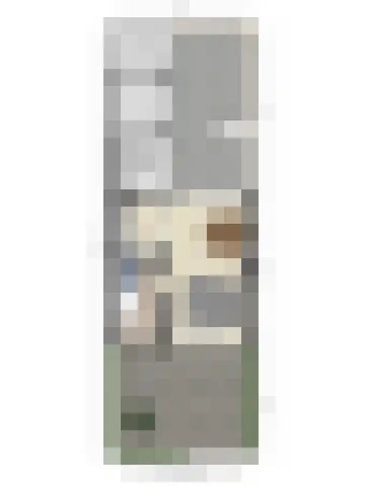 Frans Halsstraat 1 Goes thumbnail 30
