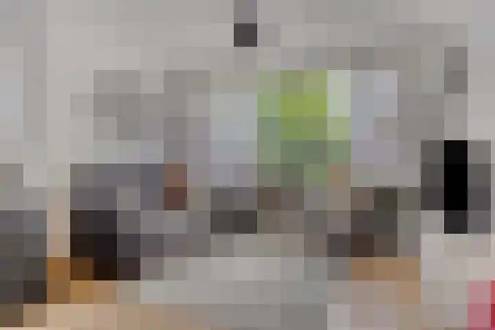 Frans Halsstraat 1 Goes thumbnail 7