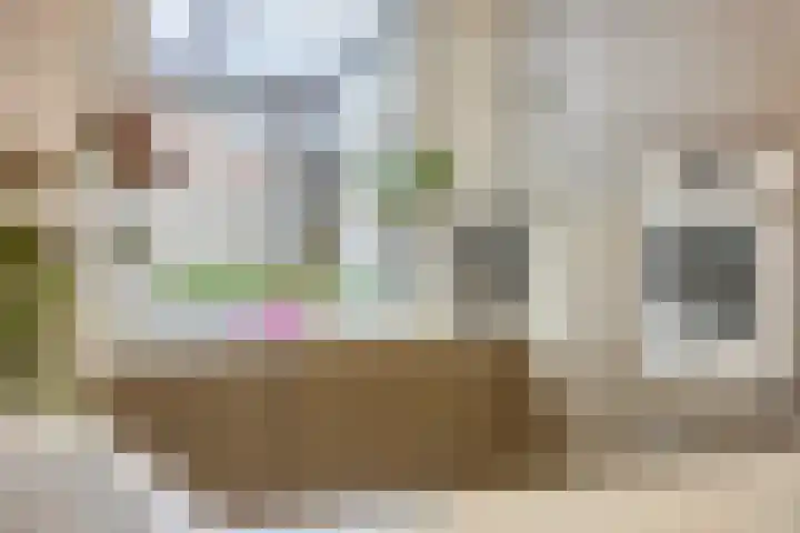 Frans Halsstraat 1 Oudheusden thumbnail 11