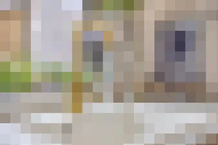 Frans Halsstraat 1 Oudheusden thumbnail 12
