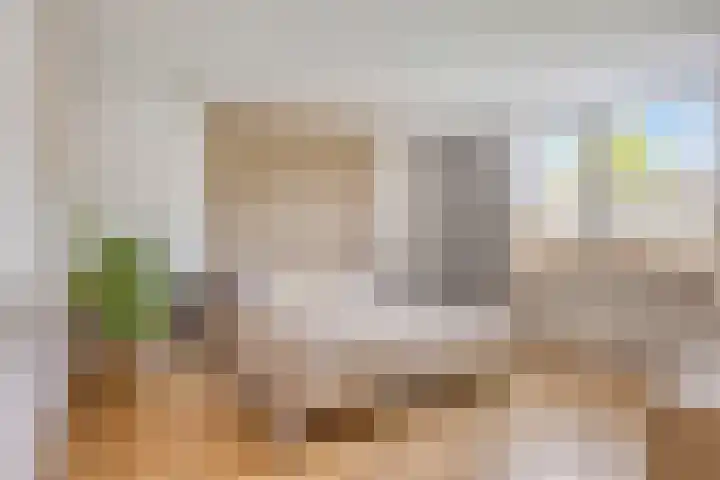 Frans Halsstraat 1 Oudheusden thumbnail 14