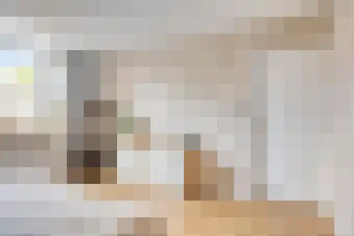 Frans Halsstraat 1 Oudheusden thumbnail 15