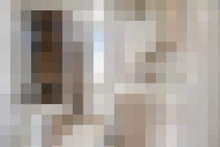 Frans Halsstraat 1 Oudheusden thumbnail 16