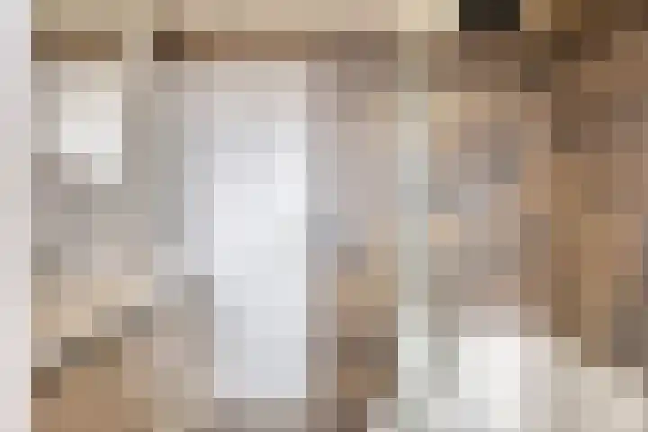 Frans Halsstraat 1 Oudheusden thumbnail 17