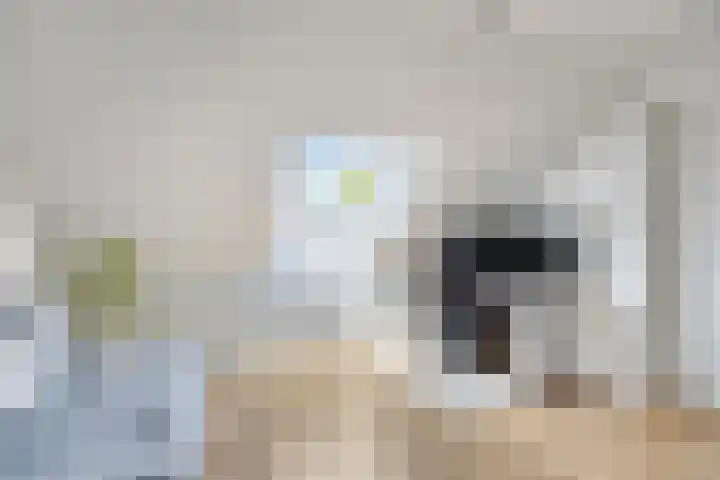 Frans Halsstraat 1 Oudheusden thumbnail 24