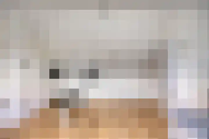 Frans Halsstraat 1 Oudheusden thumbnail 25
