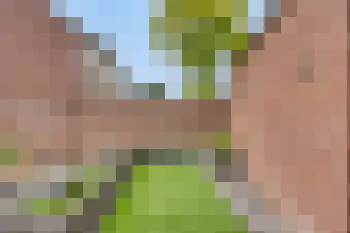 Frans Halsstraat 1 Oudheusden thumbnail 29