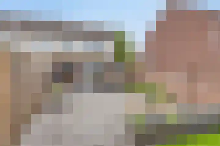 Frans Halsstraat 1 Oudheusden thumbnail 4